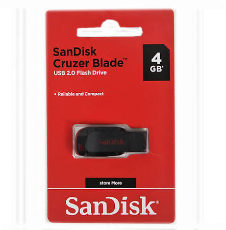 SanDisk 4GB Flash Drive