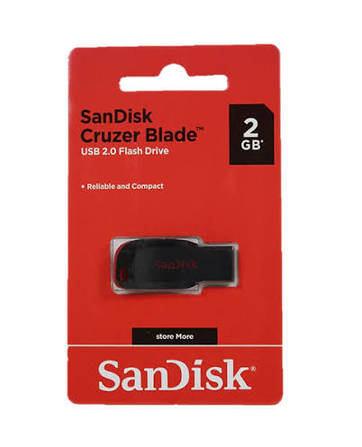 SanDisk 2GB Flash Drive