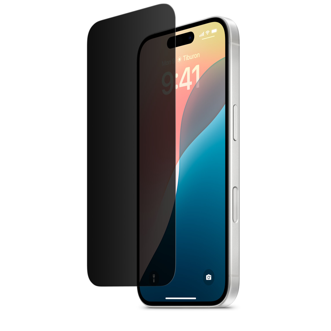 Privacy screen protectors