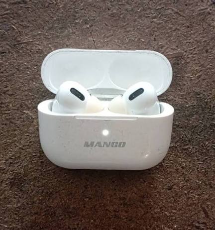 Mango pods